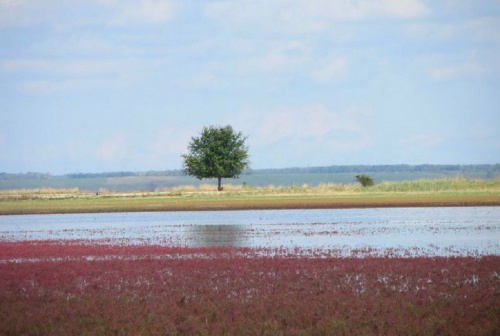 Ханское озеро