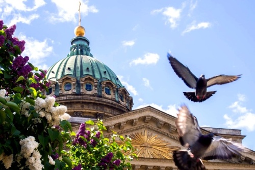 Санкт-Петербург в мае