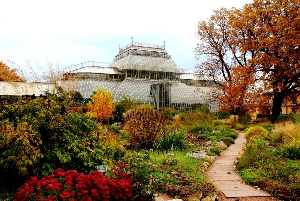 Посещение Ботанического сада Петра Первого может очень интересным открытием
