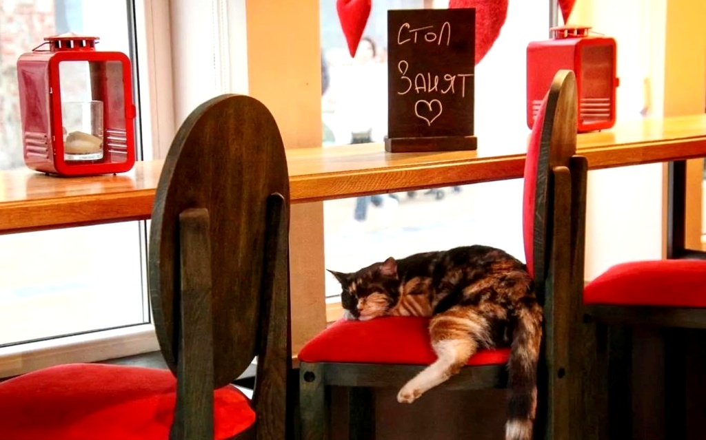 В Кафе "Встреча" очень аутентичная и приятная атмосфера!