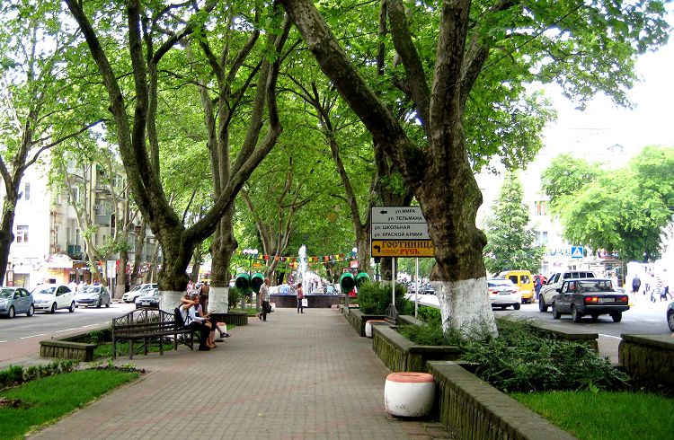 Популярным местом для прогулок является Платановая аллея улицы К.Маркса