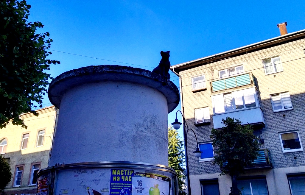 Проходя мимо Театральной тумбы кивните негласной хозяйке Черняховска - кошке