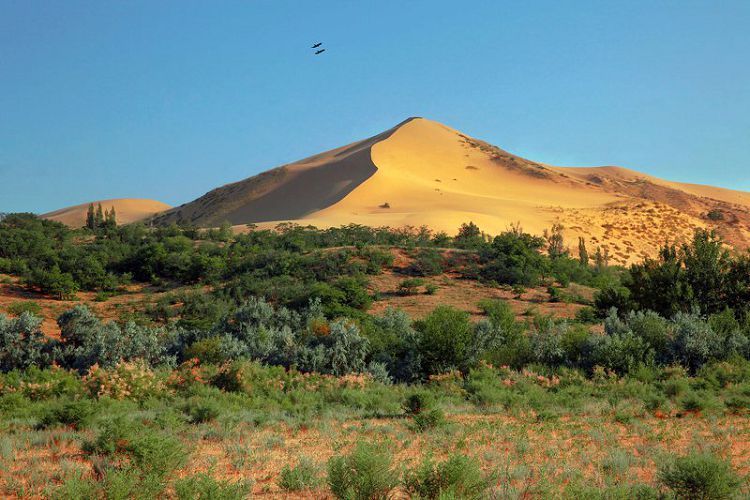 Сарыкум в дагестане фото