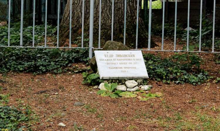 Около Дачи-музея Короленко можно гулять долго, открывая уютные уголки<br> </p> <p> В 1964 году, после передачи имения Геленджикскому краеведческому музею, 21 мая открылся единственный сегодня на территории России Дом-Музей В.Короленко. Все остальные музеи, посвященные памяти этого известного русского писателя функционируют на территории Украины. </p> <p> В этом мемориальном музее воссоздана бытовая и духовная атмосфера творческой интеллигенции начала 20 столетия, обстановка жизни дачников Геленджика того периода. Недалеко от усадебного дома можно увидеть старинный Ливанский кедр, посаженный братом писателя в 1901 году. </p> <p> <img alt=