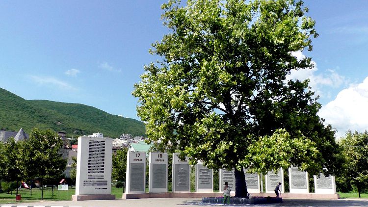 Платан Брежнева стал своеобразным символом победы жизни над смертью