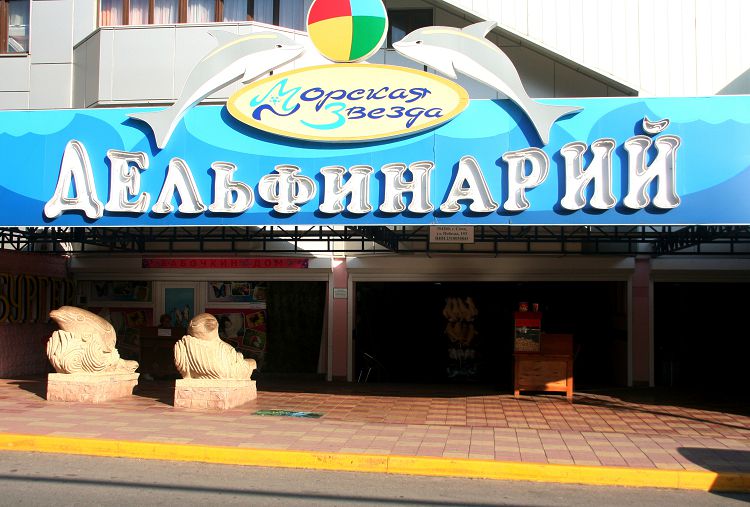 Представления в "Морской звезде" проходят весело и интересно