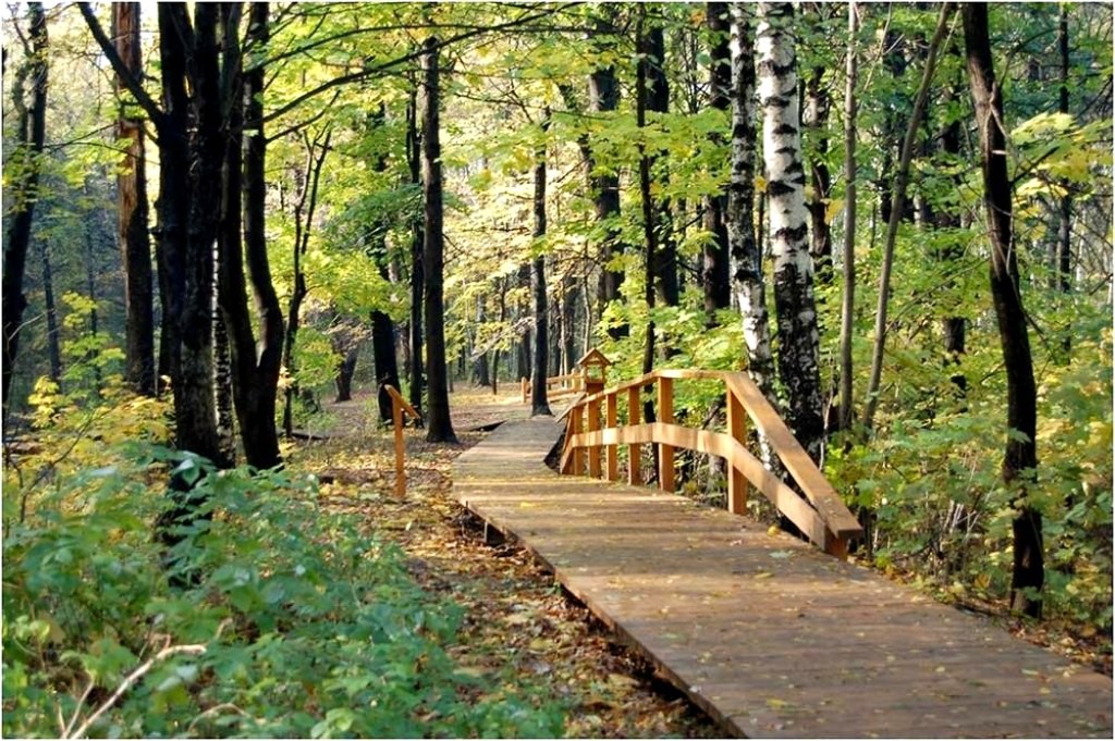 По экологическим тропам Воробьевых гор можно гулять и вниз и наверх