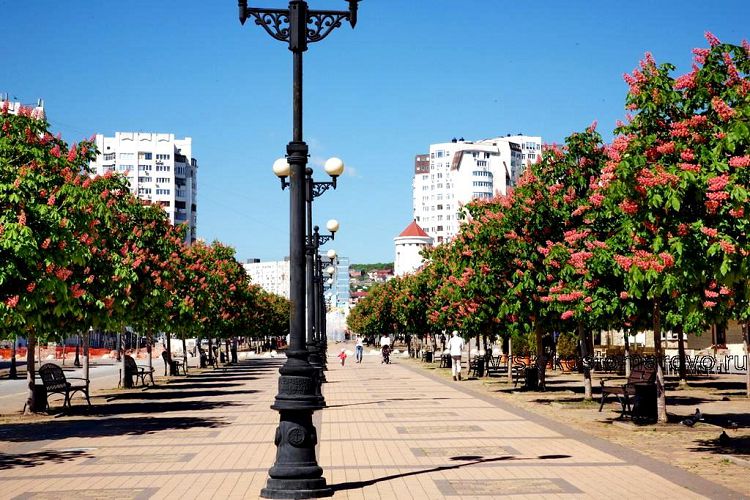 Бульвар черняховского новороссийск фото