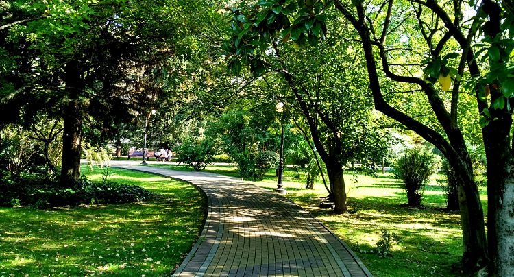 Аллеи Комсомольского сквера тихи и романтичны