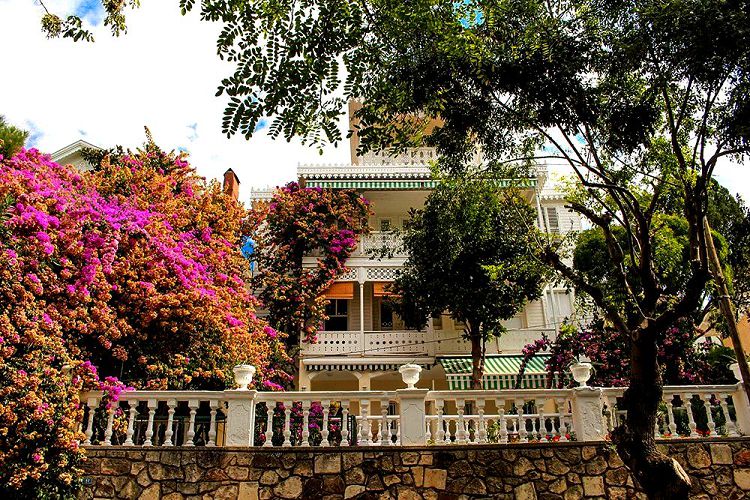 Архитектурные экземпляры османского стиля в окружении экзотических растений - это очень красиво