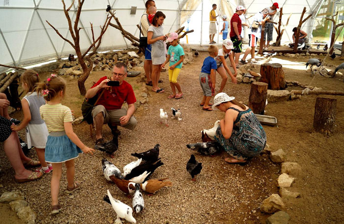 В орнитологическом отделе динотерия можно свободно общаться с птицами