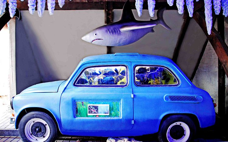 Превратить старый Запорожец в аквариум - отличная идея
