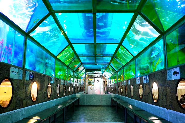 Интерьер "Батискафа" позволяет ощутить себя на дне океана