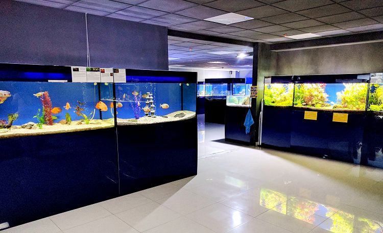 Океанариум "Риф" один из самых  популярных в Анапе