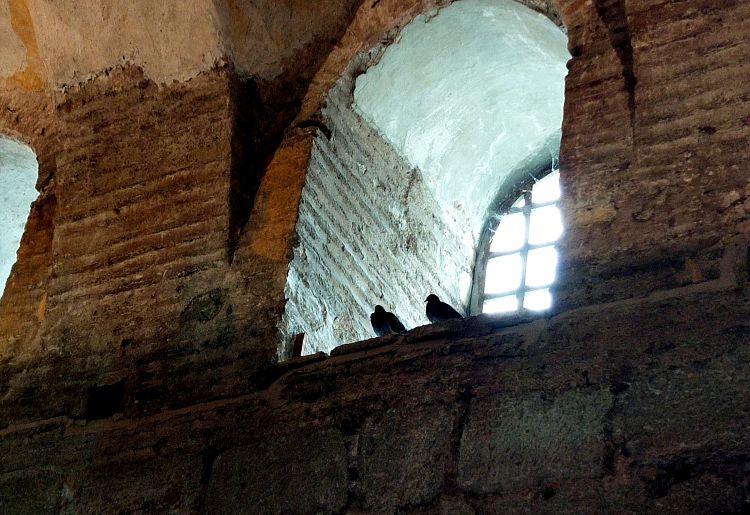 Сегодня обитателями древнего храма являются многочисленные голубиные семьи