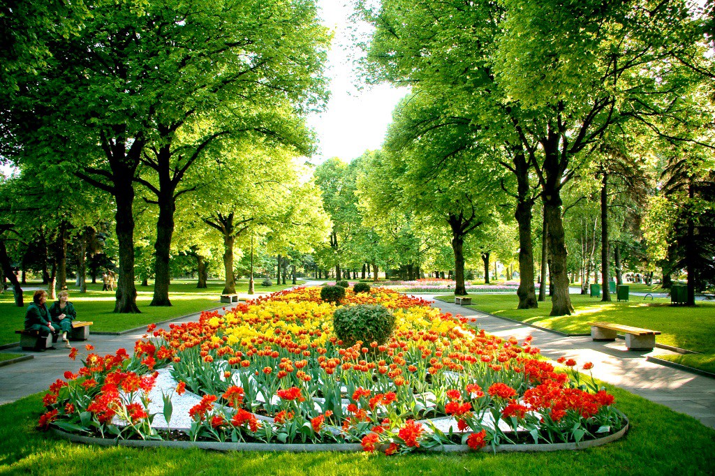 Большой Кремлевский сквер является очень даже небольшим по площади