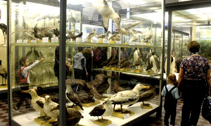 В Зоологическом музее Питера