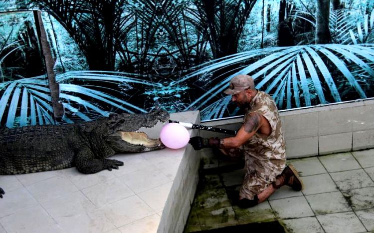 Шоу "Кормления крокодилов" очень увлекательное зрелище