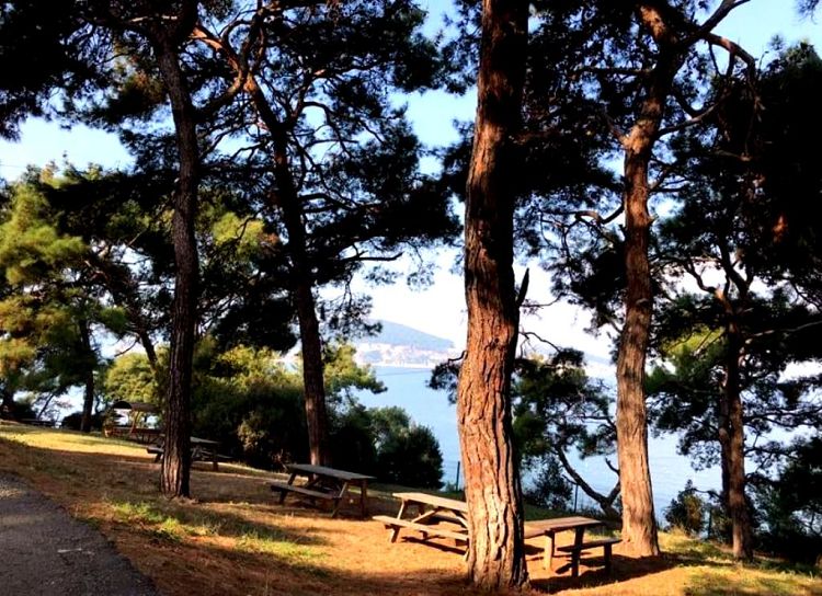 Парковая территория Дильбурну - это отдых, релакс и наслаждение видами