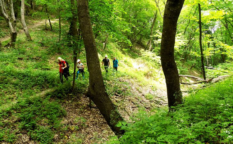Сегодня по тропам горы Колдун ходят туристические группы