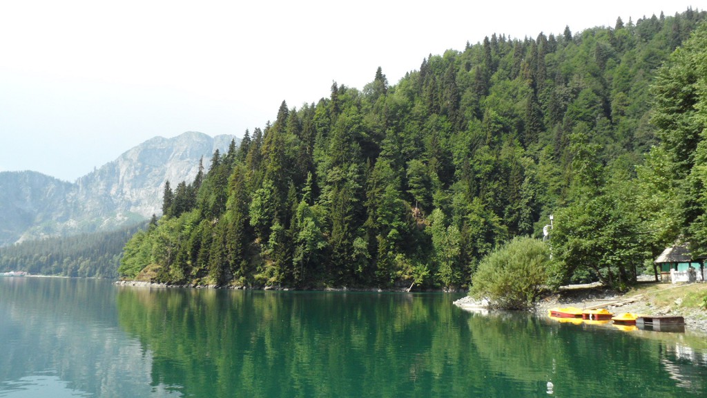 Рицевский реликтовый парк