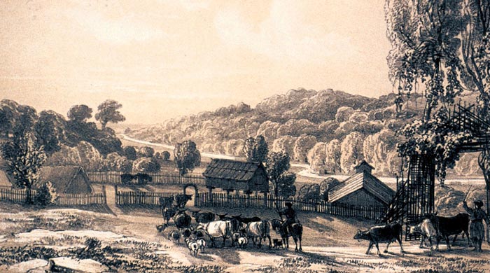 Так выглядел убыхский аул в первой половине 19 столетия