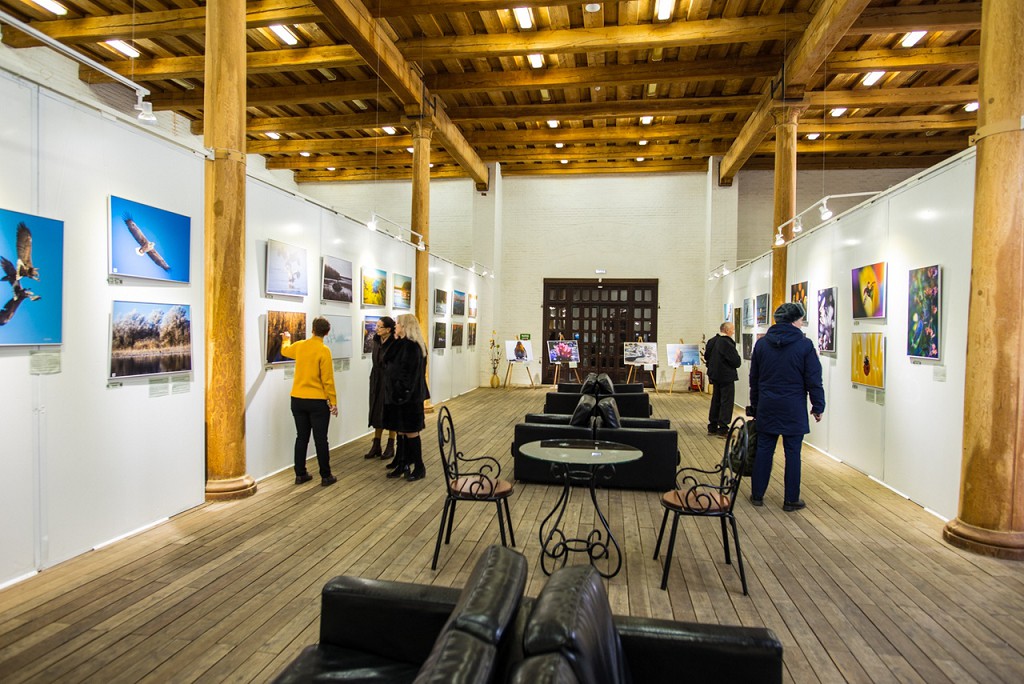 Выставка в Цейхгаузе