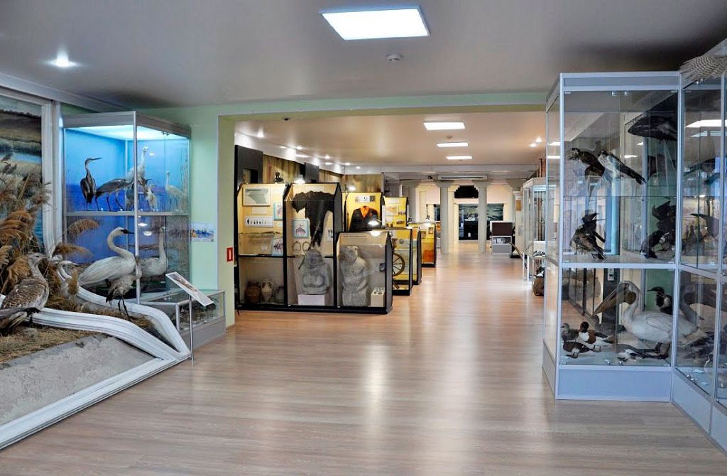 Экспонаты краеведческого музея