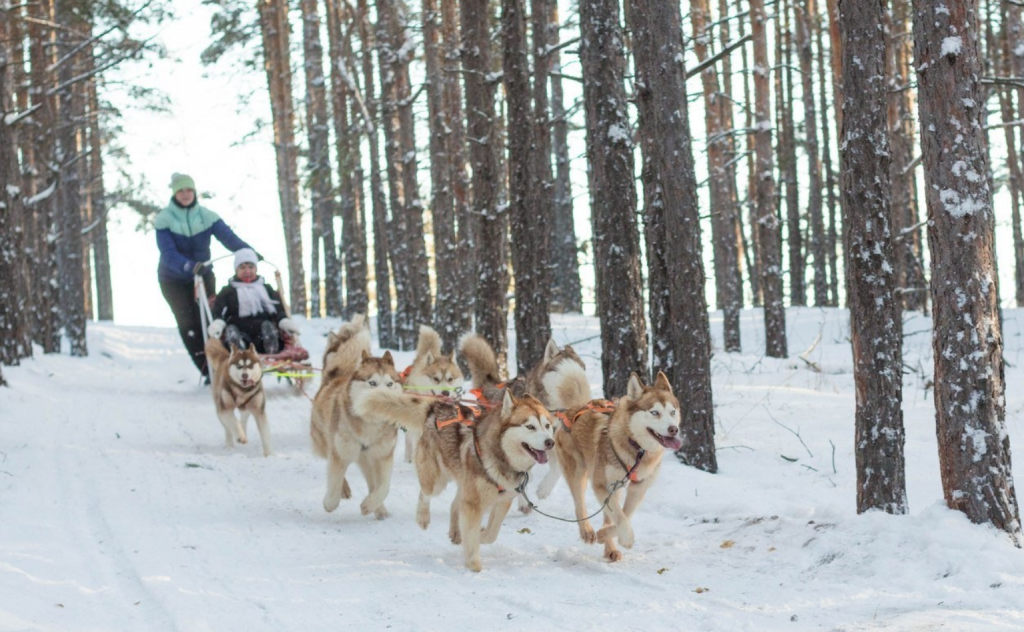 Развлечения в Маламут клубе зимой