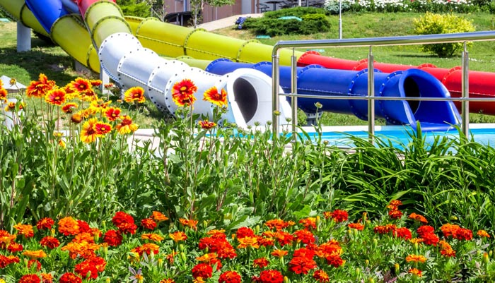 Аромат цветов, их яркость на фоне газонной зелени добавляет частичку позитива