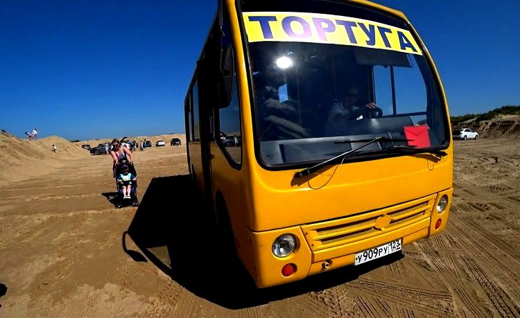 На пляж "Острова Тортуга" можно приехать на автобусе