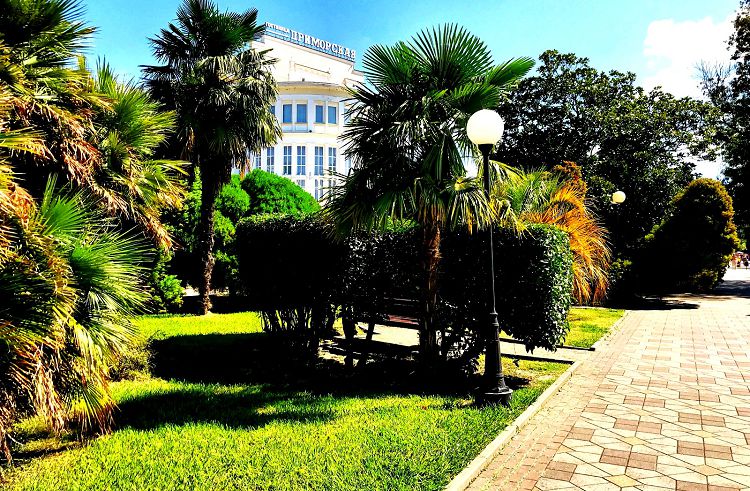 В Приморском парке можно увидеть сочинскую экзотику во всем великолепии