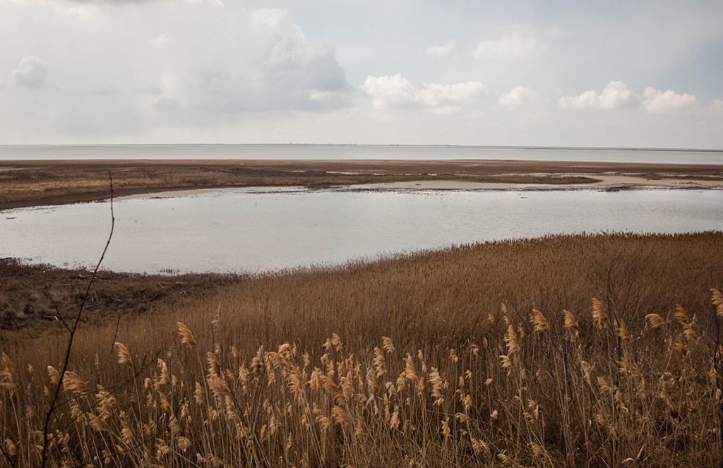 Пейзаж озера