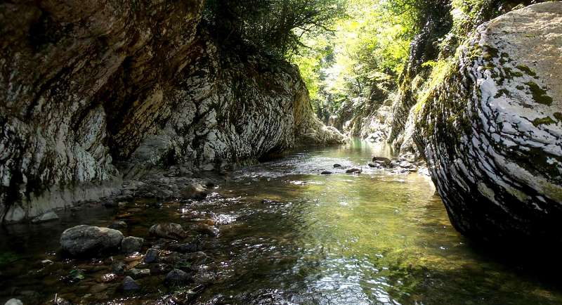 Каньон Чертовы ворота - одно из самых красивых мест рощи