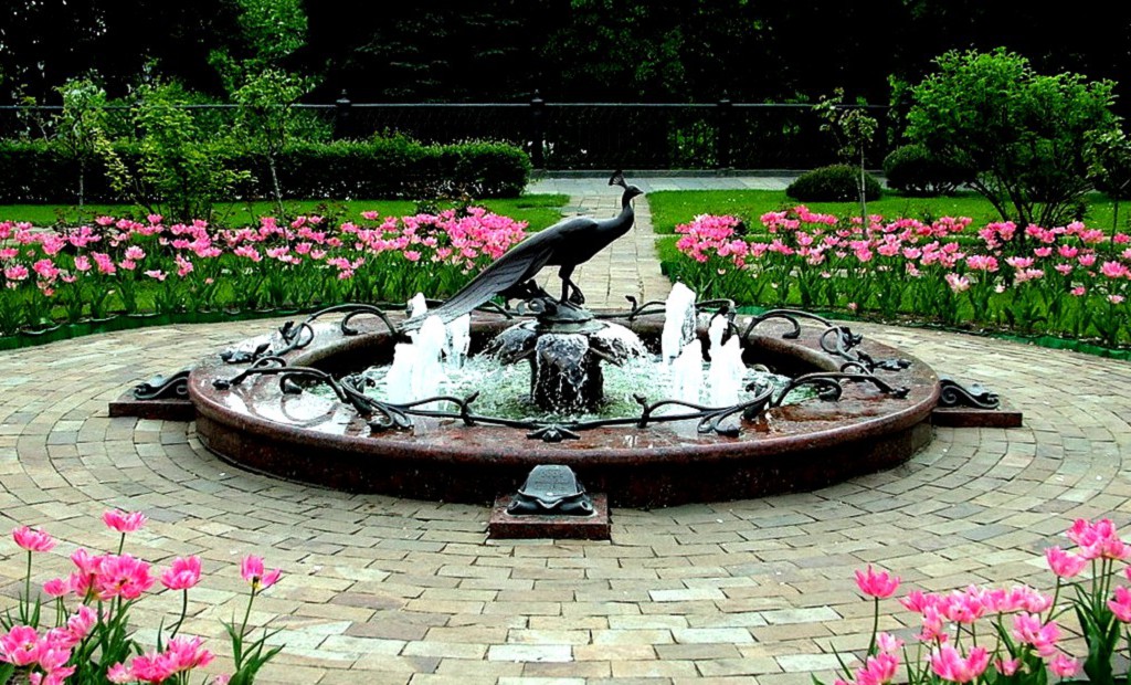  «Счастья вольная птица» представлена в композиции в образе павлина