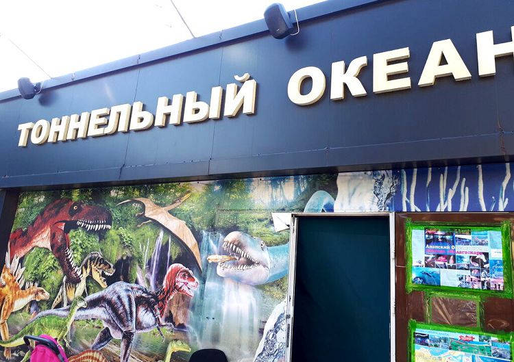 Данный океанариум находится на территории ЦПКиО 30-летия Победы