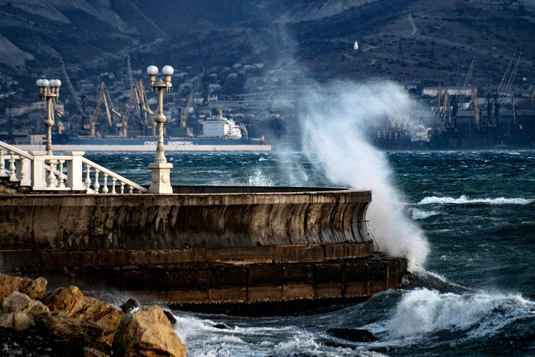 Живое море в зимние месяцы являет собой удивительно красивое явление Живое море в зимние месяцы являет собой удивительно красивое явление