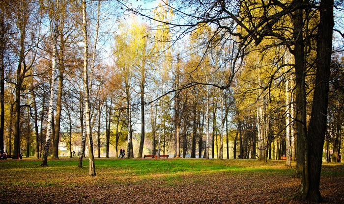 Скитские пруды сергиев посад фото