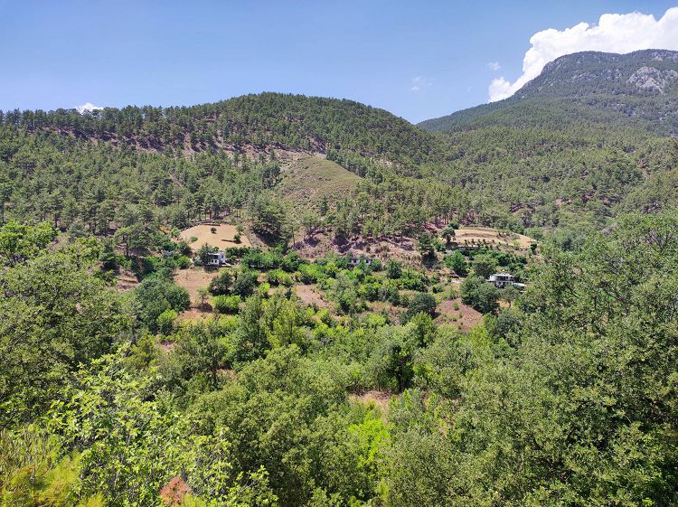 Виды в дороге на каньен