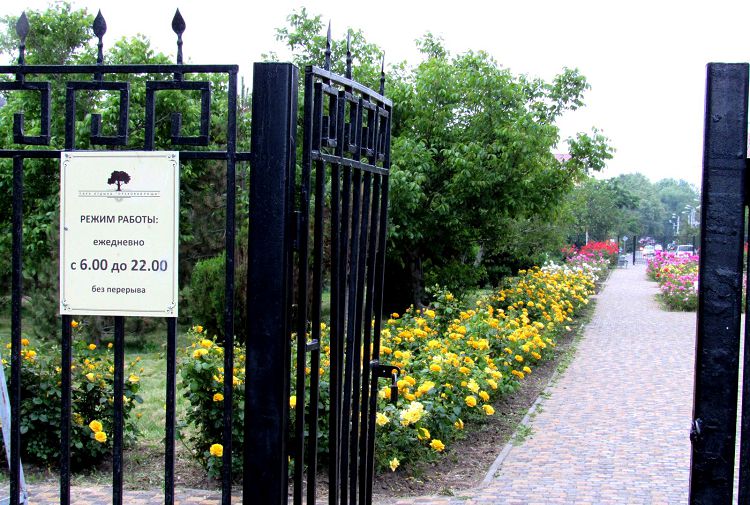 Прекрасный розарий встречает посетителей "Ореховой рощи" сразу у входа