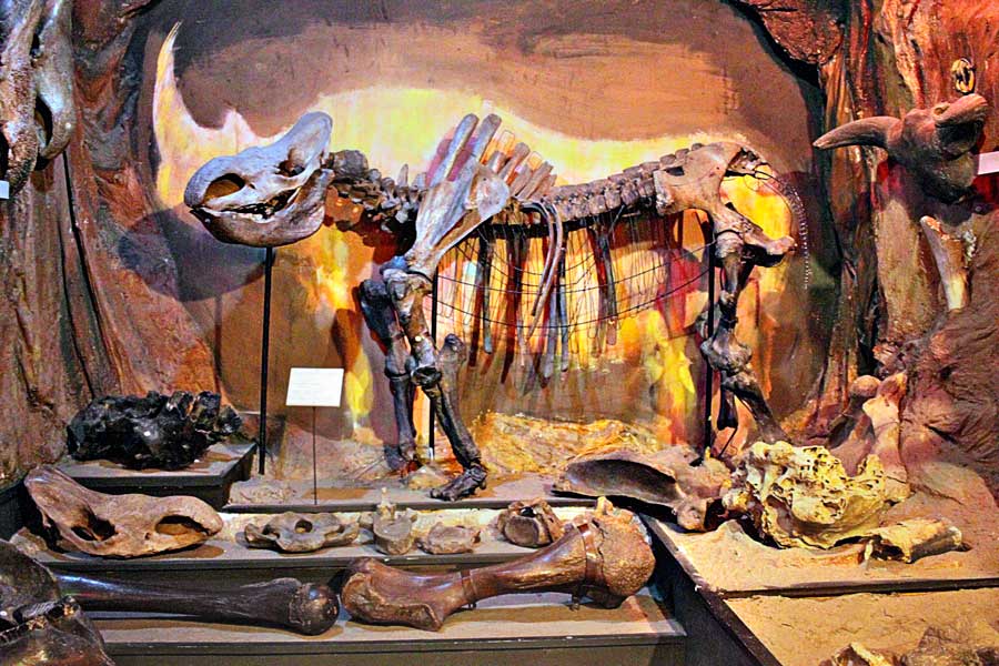 От подобных экспонатов Краеведческого музея детей трудно будет оторвать