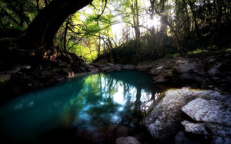 Каньон реки Дзыхры - один из удивительных природных уголков Кавказа