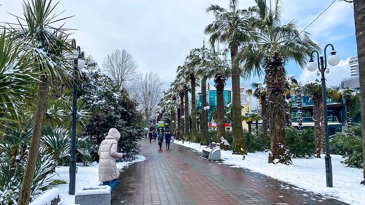 Сочи весной, что посмотреть самостоятельно и с детьми, погода, фото