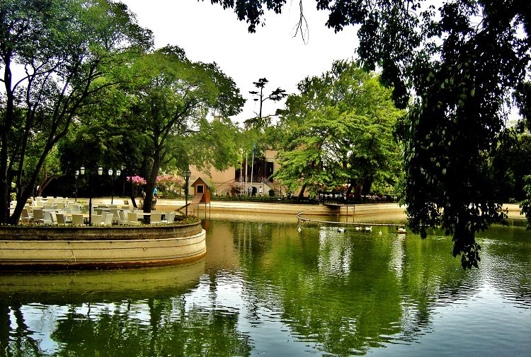 В парковых прудах когда-то водились карпы