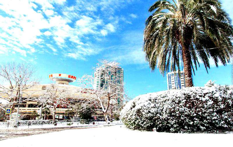 Погулять по зимнему Сочи - это эксклюзивная изюминка отдыха