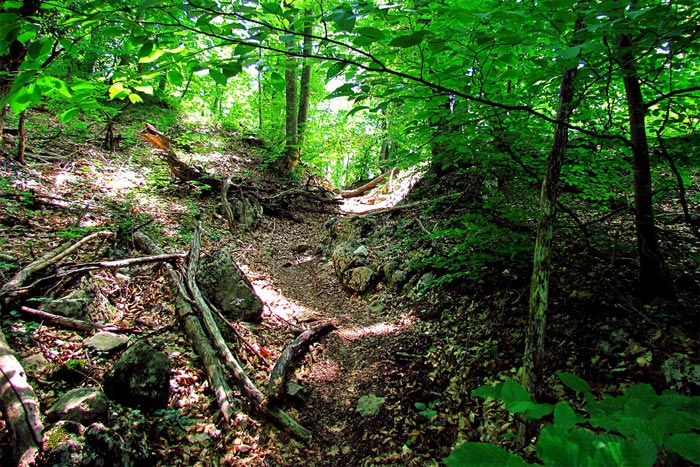 Сегодня Юсуповская тропа является популярным туристическим маршрутом