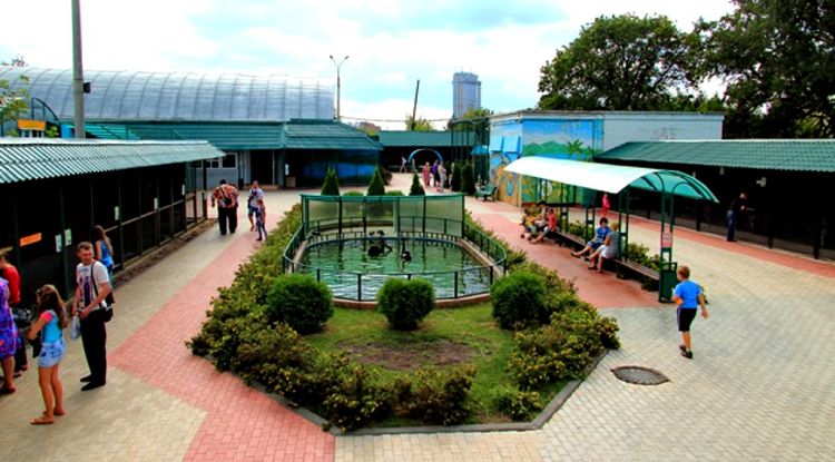 На территории Зоопарка детям будет настоящее раздолье