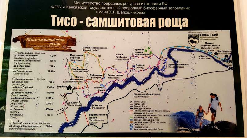 Схема туристических троп по территории тисо-самшитовой рощи