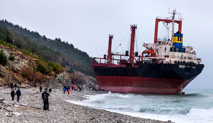 Желающих увидеть африканский сухогруз хватает и летом и зимой