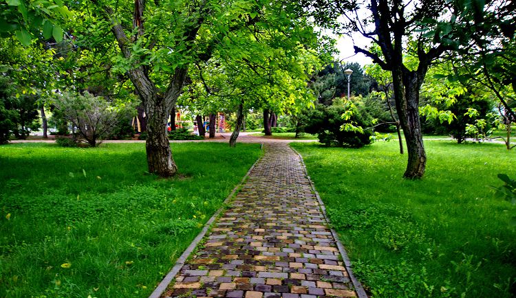 Ореховая роща из заброшенного уголка превратилась в уютную прогулочную территорию